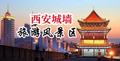 国产母狗17c中国陕西-西安城墙旅游风景区