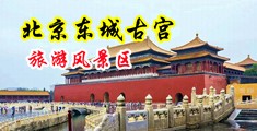 日本操日逼美女三级中国北京-东城古宫旅游风景区